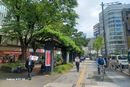 購入代行の模様