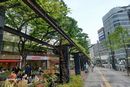 購入代行の模様
