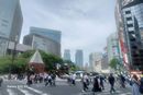 購入代行の模様