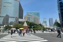 購入代行の模様