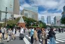 購入代行の模様