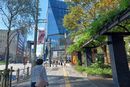 購入代行の模様