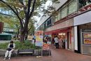 購入代行の模様